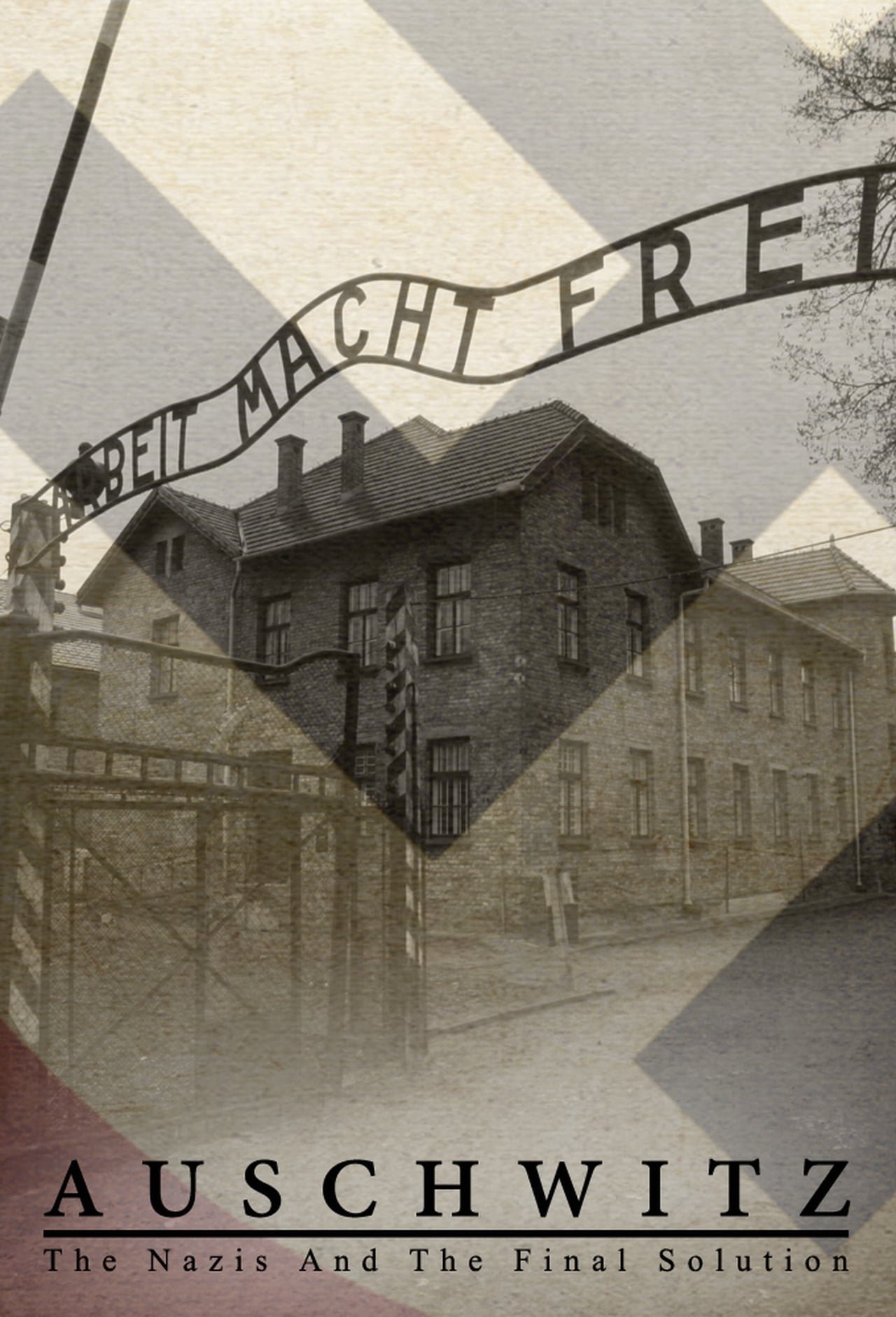 Auschwitz: The Nazis & the 'Final Solution' (2005) cover